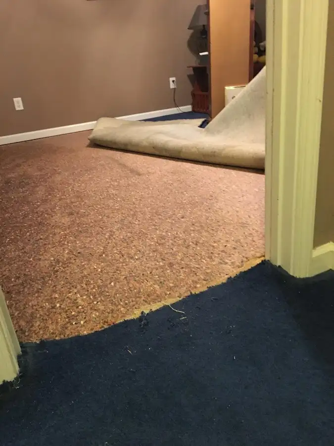 Carpet pad removal revealing water damage during Drying & Dehumidification in Olivarez