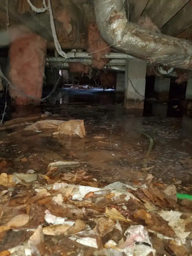 Crawl space flood assessment for Commercial Water Damage Restoration in Olivarez